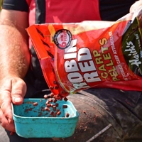 Dynamite Baits Robin Red Pellets Pre-Drilled 900g 